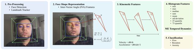 MicroFlow: face geometry to affective state