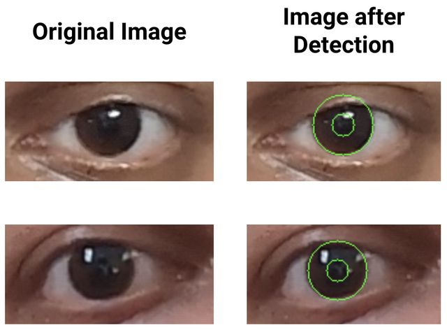 PupilSense: raw frame and detected pupil